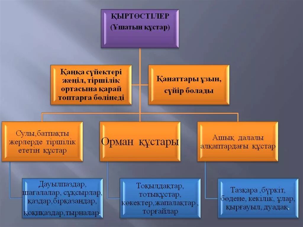 Құстар мен жәндіктер. Құстар туралы слайд презентация. Құстардың қаңқасы презентация. Құстар біздің досымыз слайд презентация. Құс қаңқасы презентация.