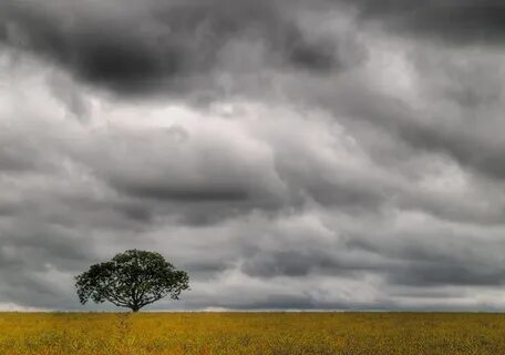 Dull weather