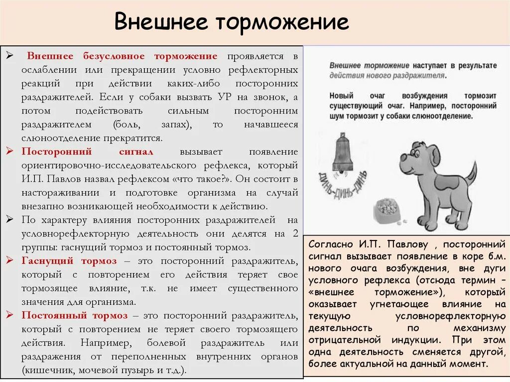 Внутреннее торможение у человека сопровождается. Внутреннее торможение у человека сопровождается