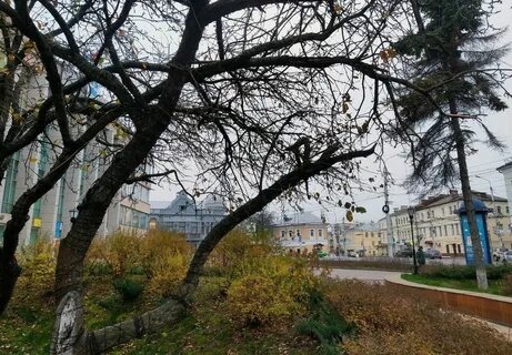 Погода в ноябре калужская область