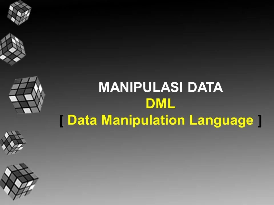 Data manipulation language. Data manipulation language