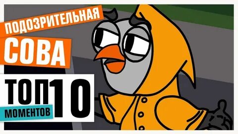 Видео подозрительные совы
