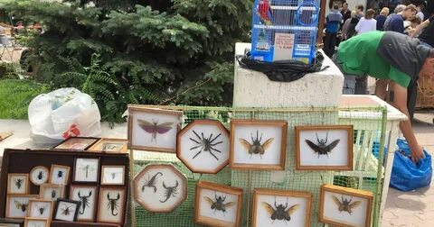 Барахолка ростов на дону