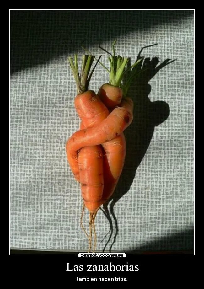 Любовь морковь куценко. Фразеологизм к слову морковка. Любовь морковь это что значит. Любовь морковь это что значит. Любовь к морковке.