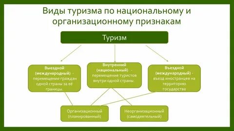 Виды деятельности вид определение примеры