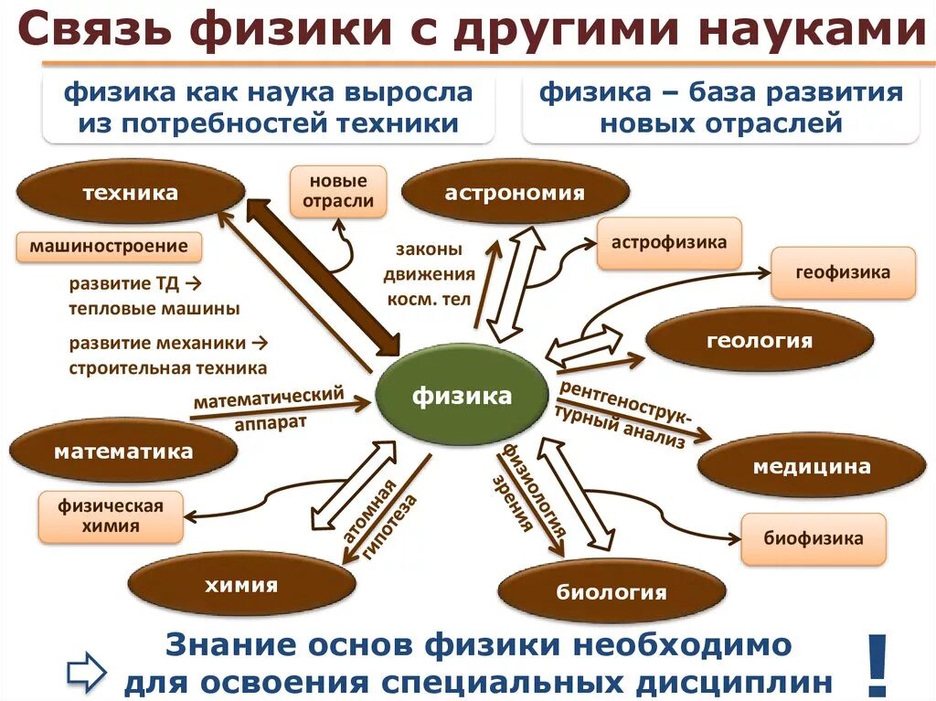 Примеры использования в педагогике достижений различных наук Социальная работа как дисциплина