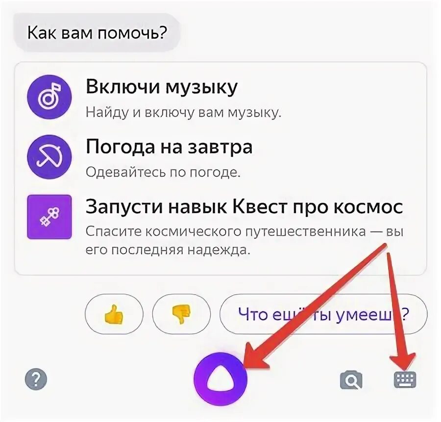 Алиса найди двойника