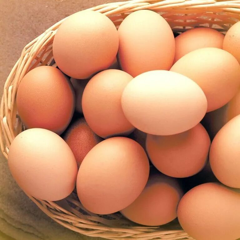 Egg москва. Large eggs. Egg москва. Херсонские куриные яйца как выглядят. Egg москва.