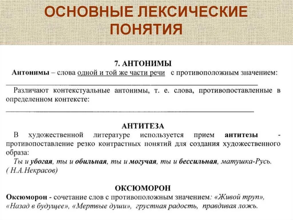 Лексические понятия. Специальная лексика примеры. Лексические понятия примеры. Задачи изучения лексики и фразеологии. Научная лексика.