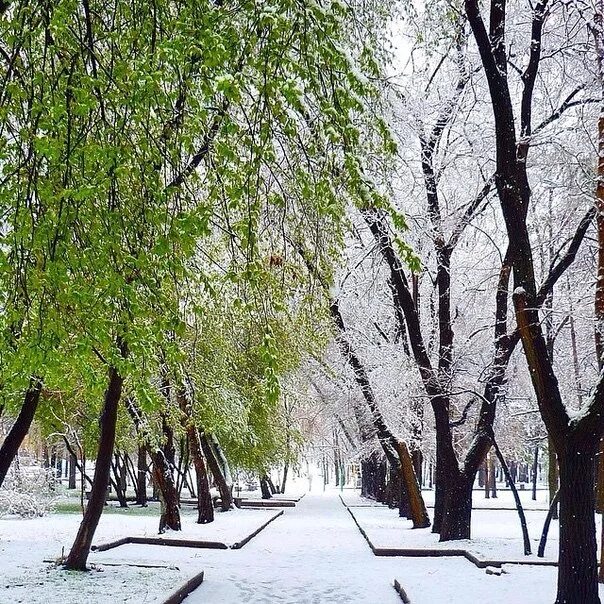Какой будет май в екатеринбурге. Снег в мае. Снег в мае в Новосибирске. Снег в мае Свердловск. Снег в мае Хабаровск.