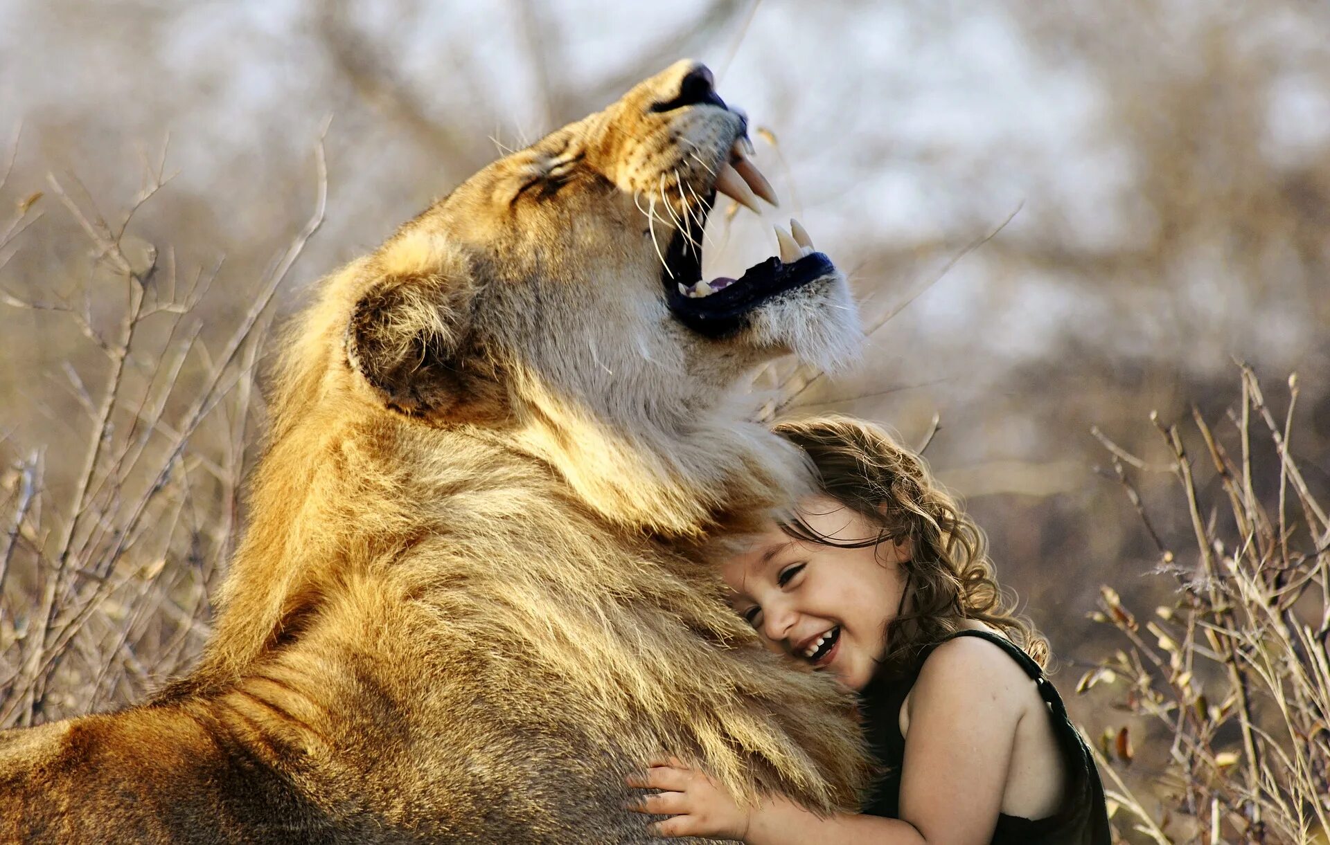 Woman with animals. Люди и животные. Лев обнимает человека. Девушка и Лев обнимаются. Девушка в объятиях Льва.