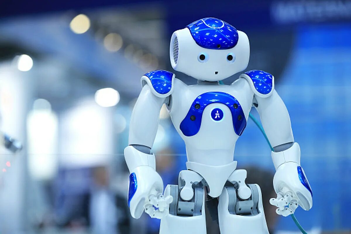 May robot