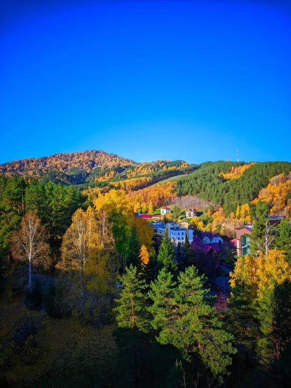 белокуриха. белокуриха местность. горы в белокурихе алтайского края осенью. климат в белокурихе алтайского края. гора церковка в белокурихе.