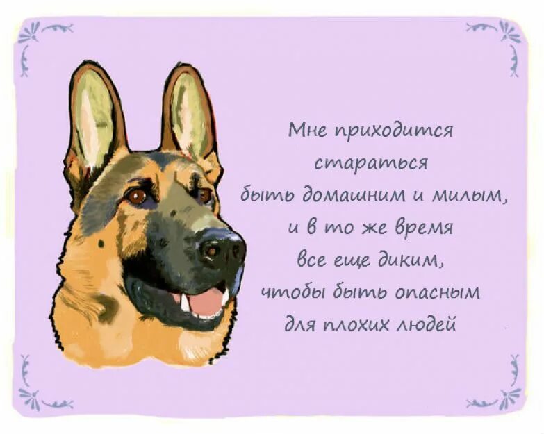 Картина четыре времени года. Милый зверек. Принцесса бубль гум арт. Смешное животное. Эти милые времена.