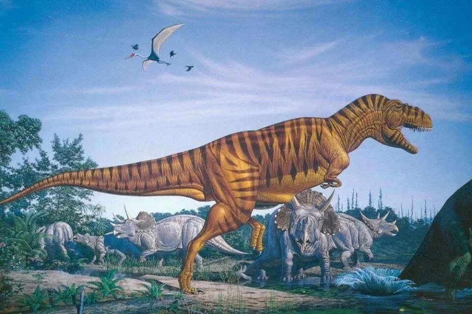 Тираннозавр Буриан. Зденек Буриан Тираннозавр. Игуанодон ббс. Барозавр динозавры Юрского периода.