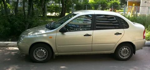 502 дыня