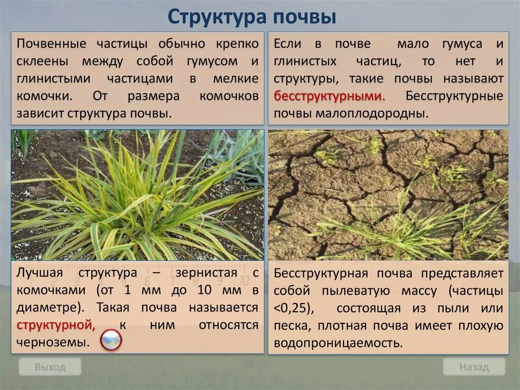 Почвы россии 4 класс 21 век презентация. Структура почвы. Почва структура почвы. Почвы состав строение и структура. Бесструктурная почва.