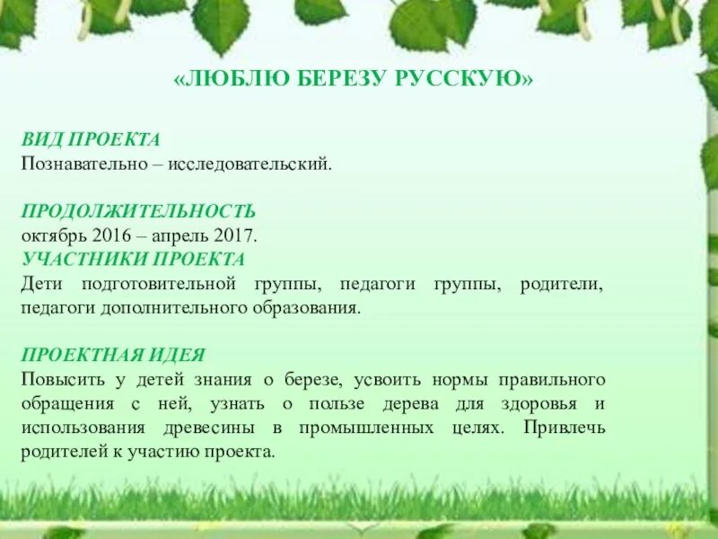 Экологический исследовательский проект "люблю берёзку русскую"