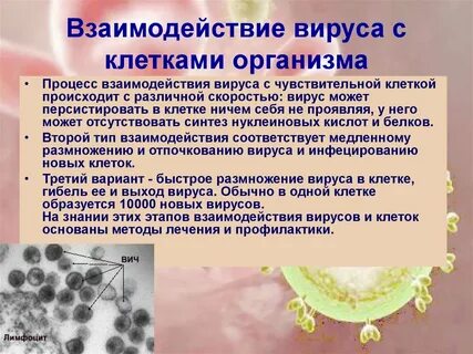 Вирусный процесс