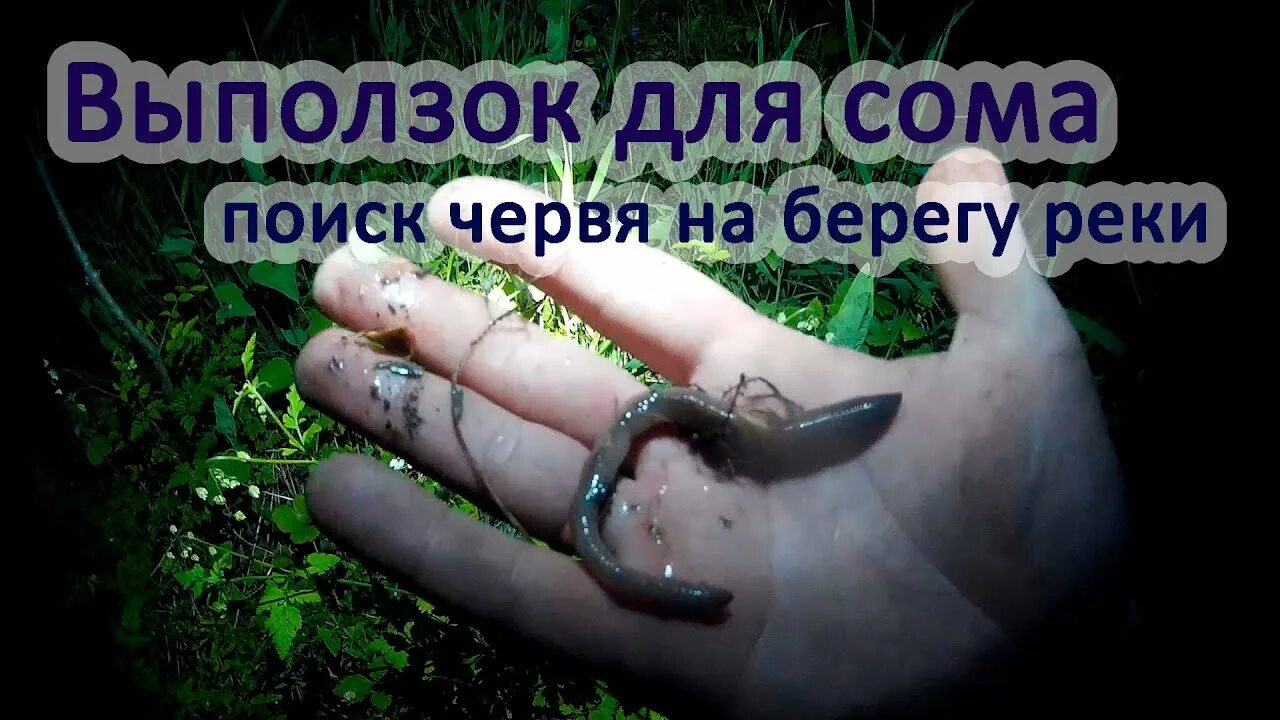 На что ловить если нет червей
