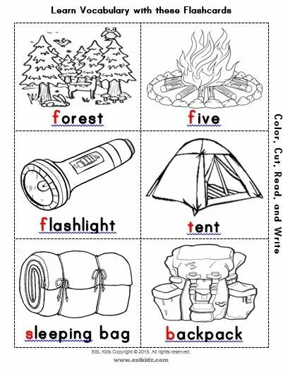 Camping vocabulary. Worksheet Camping задание. Camping Worksheets for Kids. Camping trip Vocabulary for Kids. Урок английского Camping.