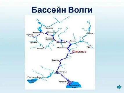 Устье реки волга и амазонка