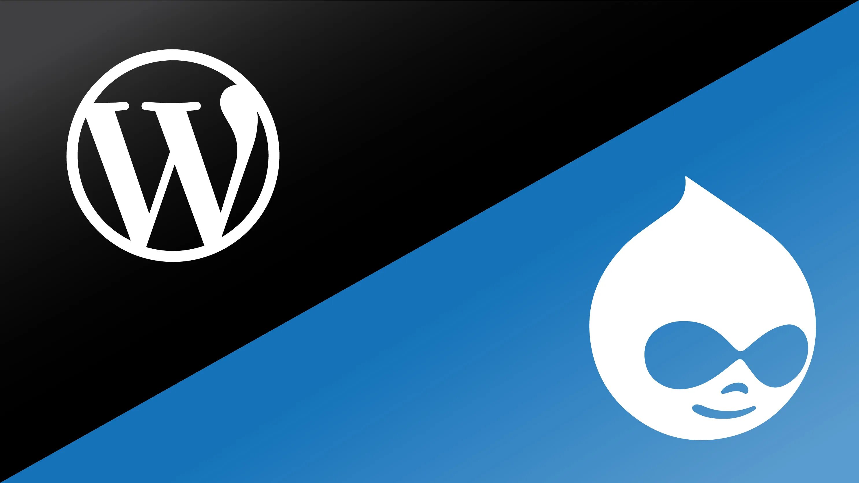 WORDPRESS. Аватарки для вордпресс. Drupal vs. WORDPRESS обои. Wordpress 6