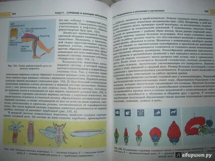 Петросова 10 класс учебник читать