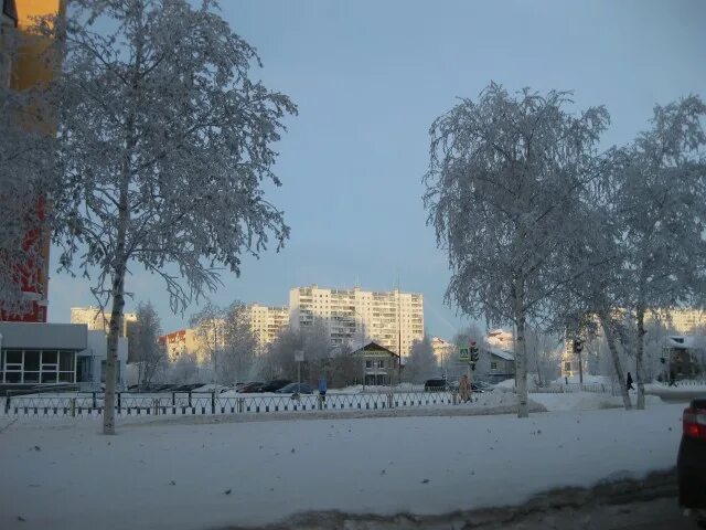 Белая берёзка Брянская область. Поселок белая Березка фото. БФК белая Березка. Фото пгт белая берёзка.