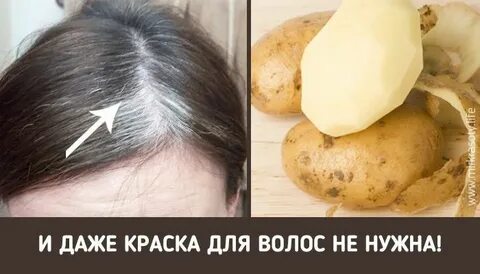как избавиться от седых волос без окрашивания