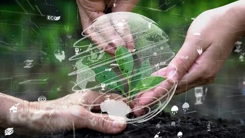 Looking at the future and the environment