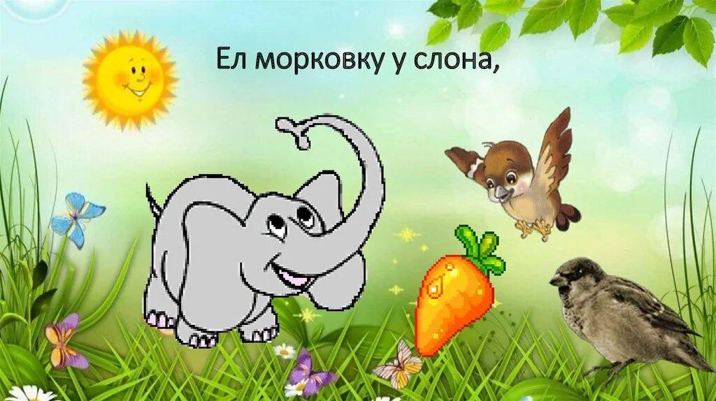 Где обедал воробей презентация 1 класс. Ел морковку у слона. где обедал воробей иллюстрации ел морковку у слона. ел морковку у слона картинка. слон и морковка.
