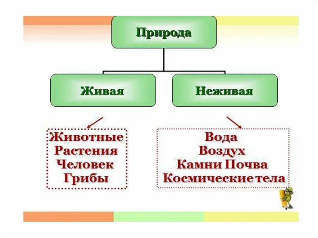 Природные связи между объектами. Схема живой и неживой природы 2 класс окружающий мир. Связь живой и неживой природы 2 класс окружающий мир. Схема по окружающему миру 2 класс Живая и неживая природа. Схема связи живой и неживой природы 2 класс окружающий мир.