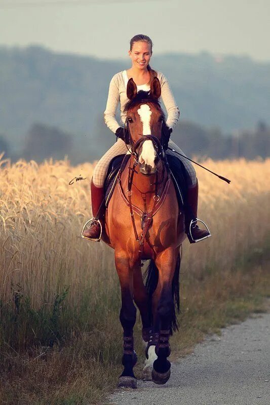 Women riding men. Эрин Уильямс конный. Девушка верхом на лошади. Всадник с лошадью. Всадник на коне.