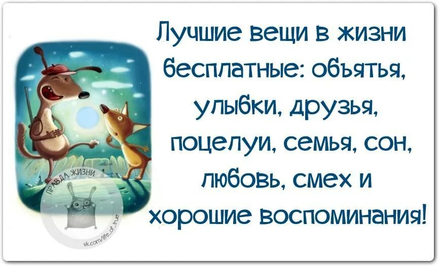 Правды жизни на дне. Высказывания о жизни с юмором. Афоризмы про жизнь с юмором. Прикольные высказывания о жизни. Смешные и Мудрые высказывания о жизни.