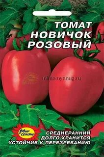 Характеристика томата новичок розовый