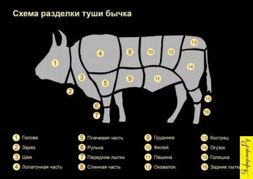 Выход бычка. Схема разделки туши быка. Корова разделка туши схема. Схема раздела туши бык. Части туши КРС схема.