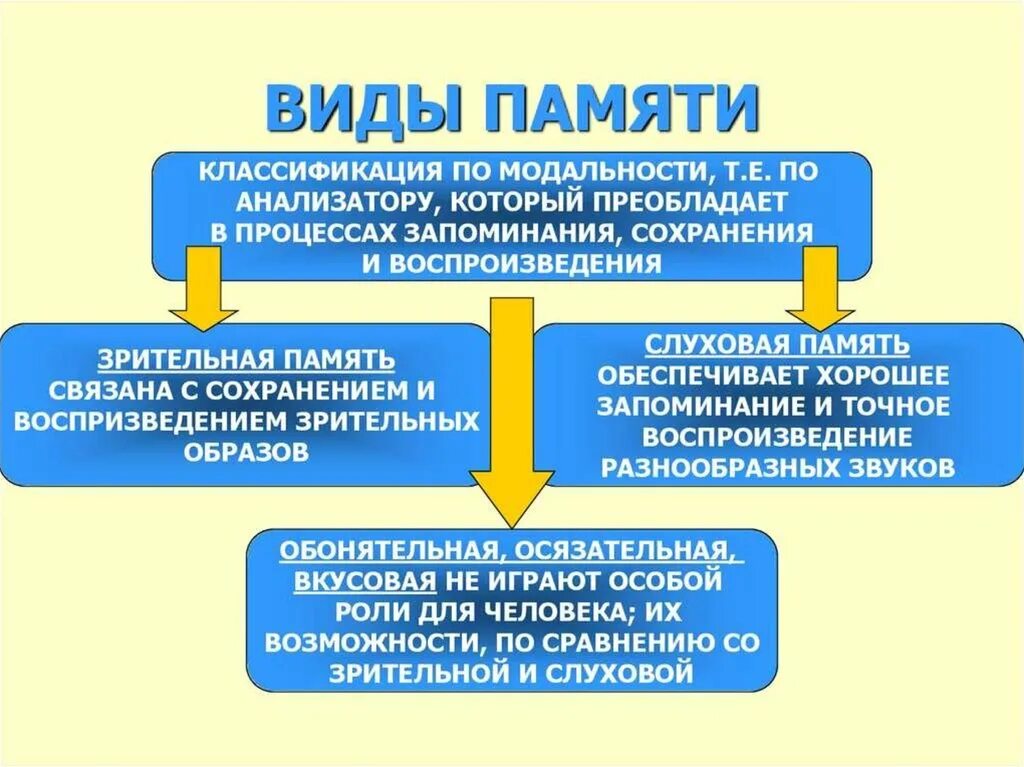 Запоминание сохранение и воспроизведение образов. Классификация видов памяти. Классификация видов памяти по модальности. Виды памяти в психологии. Классификация видов памяти в психологии.