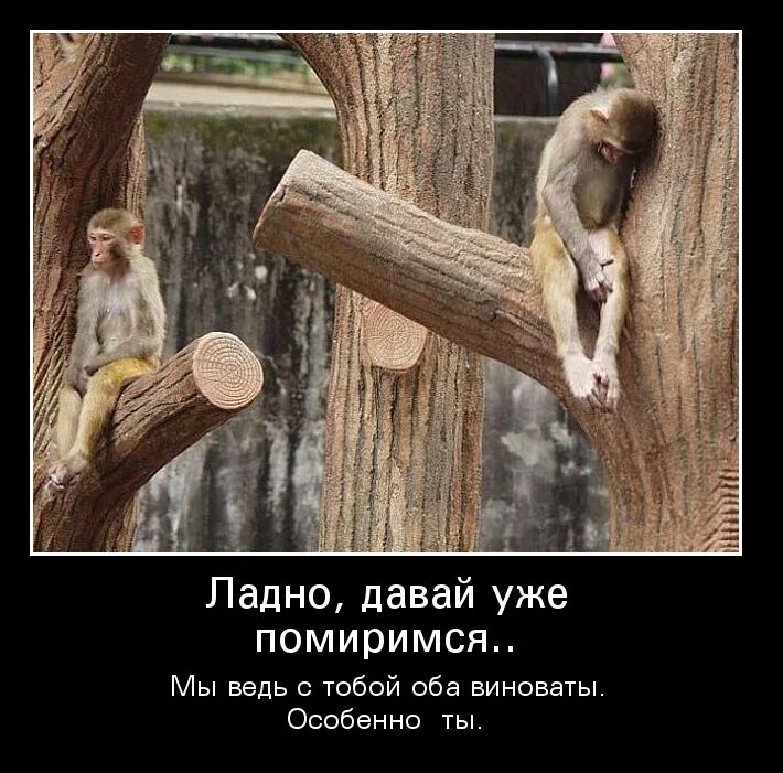 Ладно не лезь. Ладно не лезь