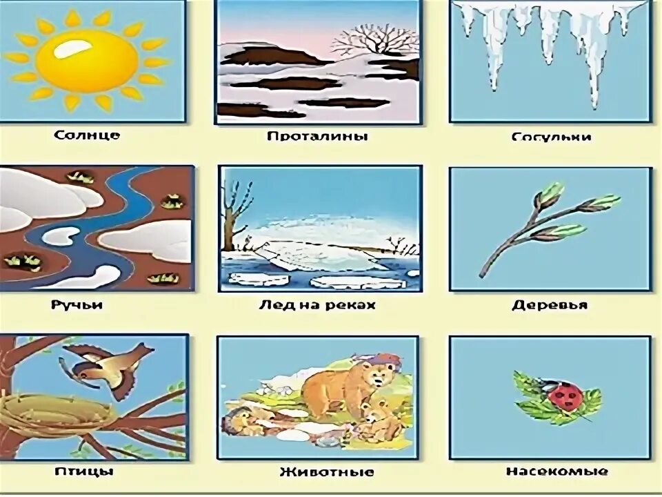 Приметы весны для 2 класса окружающий. Приметы весны для 2 класса окружающий