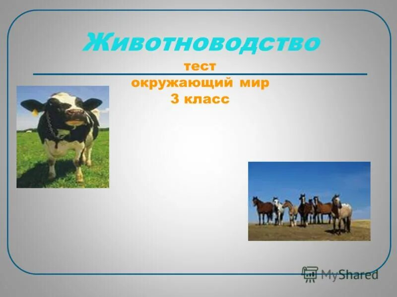 Проверочная работа по теме животноводство 3 класс. Тест по окружающему миру животноводство. Животноводство 3 класс окружающий мир. Животноводство 3 класс окружающий мир тест. Вопросы по теме животноводство.