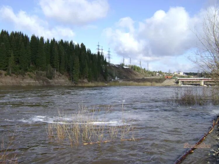 Погода яйва пермский на неделю