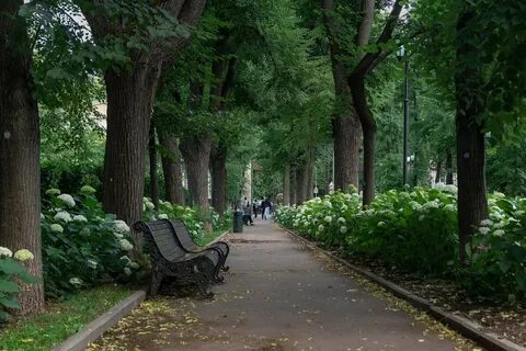 Красивые парки москвы для фотосессий