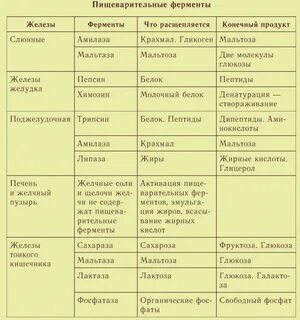 Функции липидов запасающая гормональная ферментативная