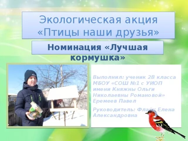 Почему птицы наши друзья. Птицы наши друзья. Проект птицы наши друзья. Птицы наши друзья проект презентация. Акция птицы наши друзья.