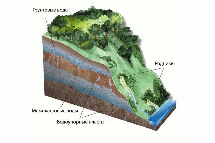 Грунтовые воды. Грунтовые подземные воды. Грунтовая вода. Строение родника Геологическое. Название подземной воды