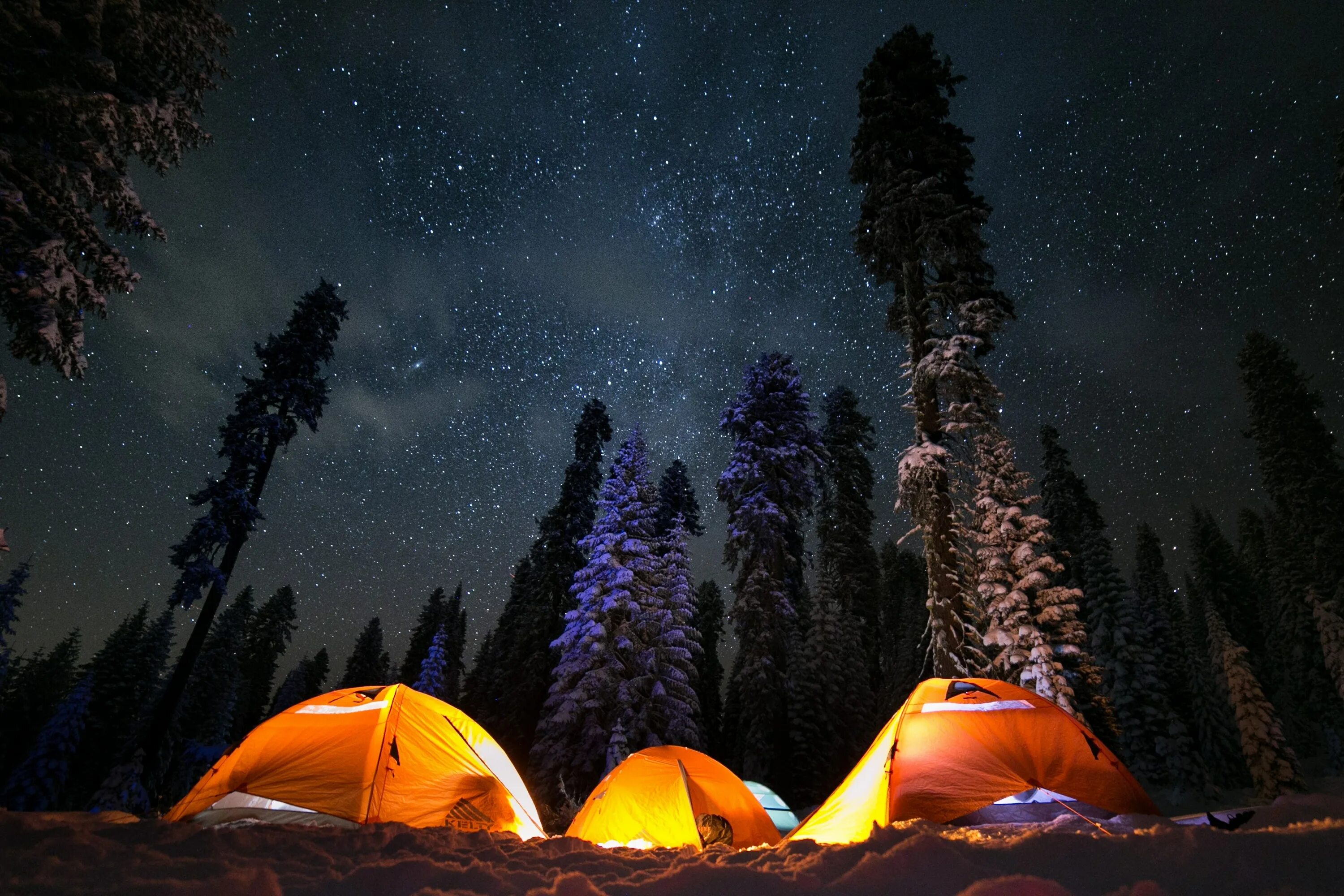 Night camp. Палатка в лесу. Пейзаж с палаткой. Палатка ночью. Пейзаж горы с палаткой.