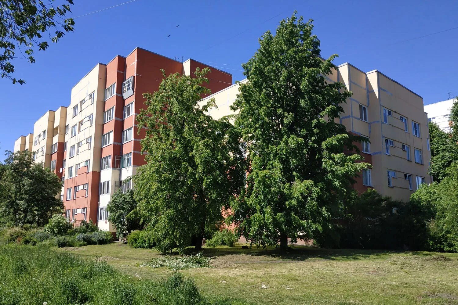 Сестрорецк запись. Улица инструментальщиков сестрорецк.