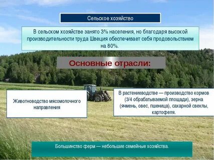 Особенности хозяйства швеции