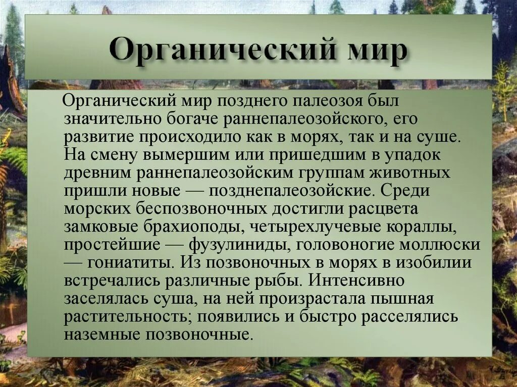 Что является органическими миром. Органический мир. Органический мир земли. Органический мир растительный мир. Органический мир это определение.